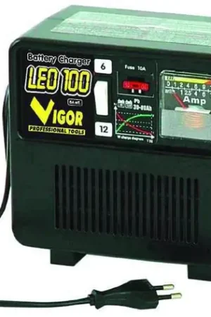 Occasione Caricabatterie Vigor Leo 100