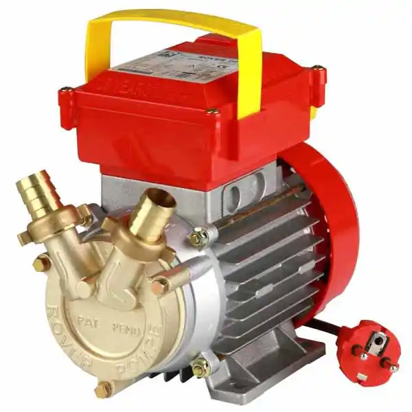 Prezzo Conveniente Elettropompa Travaso mm 20 Rover