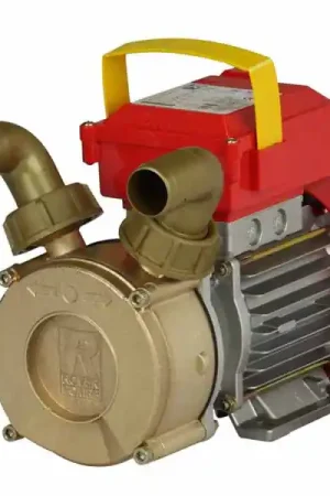 Popolare Elettropompa Travaso mm 30 Rover