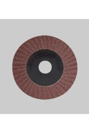 Acquista Ora DISCO LAMELLARE AL CORINDONE Ø 115x22 mm - grana 40 PZ 10,000000