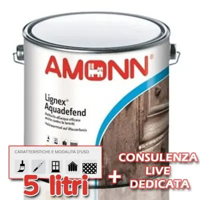 Acquista Ora Pittura per legno acqua antitarlo lignex aquadefend 5 lt