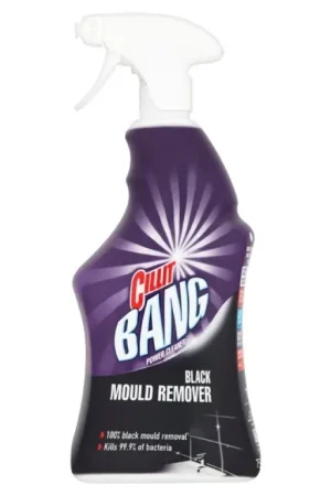 Cillit Bang Black Mould Remover Popolare