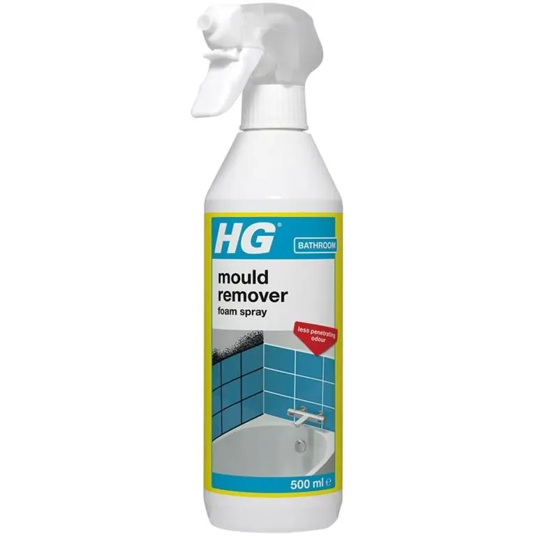 Consegna Rapida HG Mould Remover Foam Spray