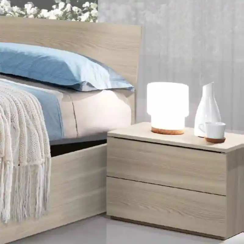 Non Perdere Set 2 comodini Manitoba 2 cassetti colore olmo moderni
