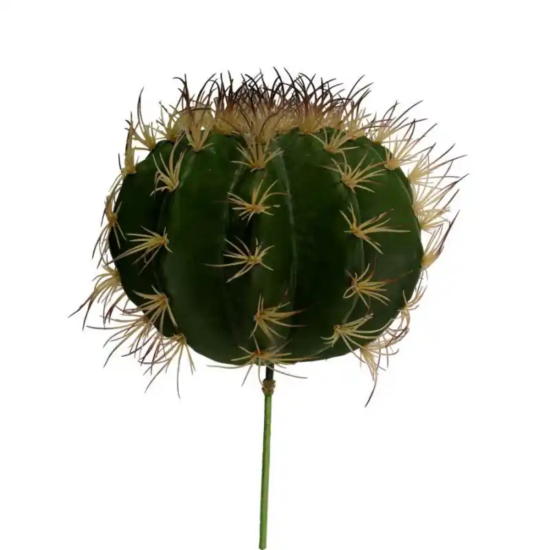 Ramo cactus verde Ø25xH17-30 cm decorativo moderno Nuovo Arrivo